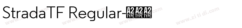 StradaTF Regular字体转换